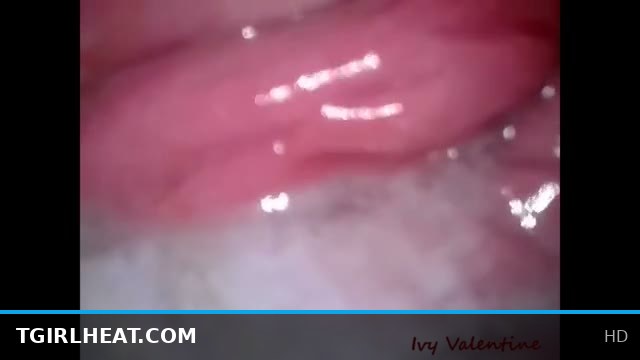 Get Me Pregnant Part 3 with Stunning Shemale Performer